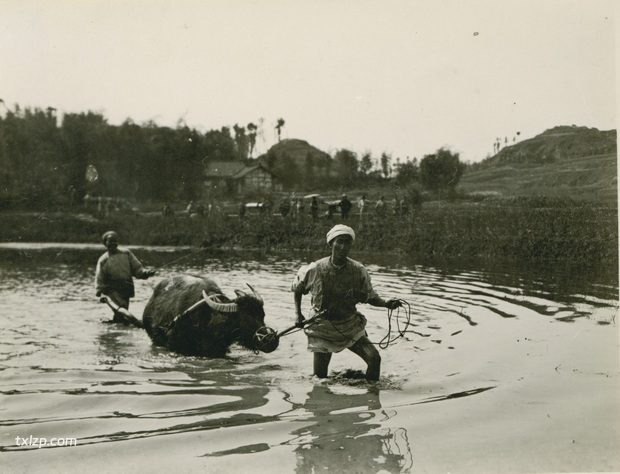1909年张伯林的中国摄影集（16）四川南充之旅插图9