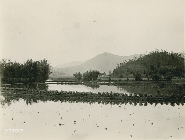 1909年张伯林的中国摄影集（17）四川蓬溪、射洪之旅插图19