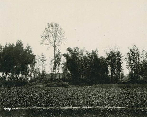 1909年张伯林的中国摄影集（20）四川郫县灌县之旅插图4