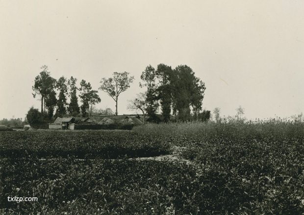 1909年张伯林的中国摄影集（20）四川郫县灌县之旅插图6
