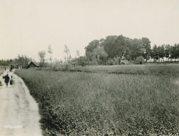 1909年张伯林的中国摄影集（20）四川郫县灌县之旅插图10
